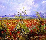 A Field With Poppies by Vincent van Gogh
